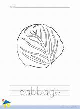 Cabbage Worksheet Coloring Worksheets Vegetable Thelearningsite Info sketch template