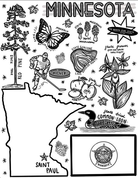 minnesota coloring page   etsy