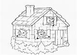 Pigs Little Coloring Three Pages House Kids Books sketch template