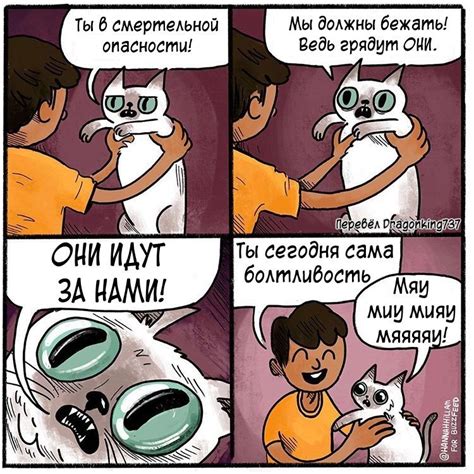 Смешные комиксы веб комиксы с юмором и их переводы кот comics funny