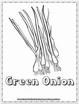 Onions sketch template