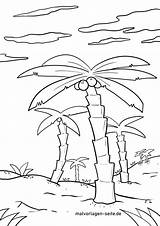 Palmen Palme Malvorlagen Malvorlage Bäume sketch template