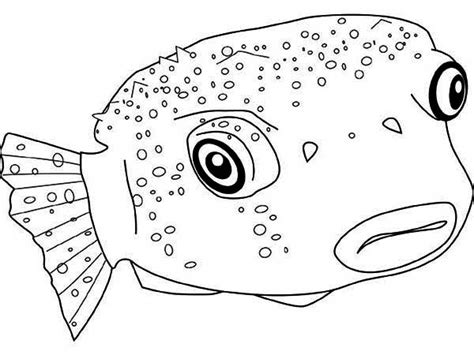 poisonous puffer fish coloring page kids play color