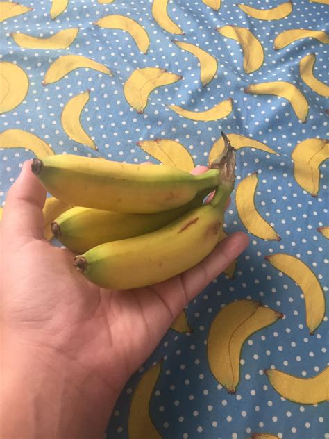 tiny bananas     store rpics