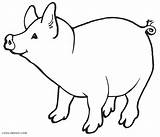 Pig Coloring Pages Pigs Simple Cute Drawing Printable Kids Color Flying Colouring Cool2bkids Face Getdrawings Cartoon Getcolorings Print Animals Peppa sketch template