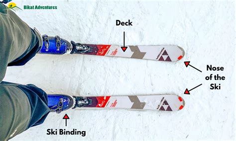 parts   ski  guide  skiing