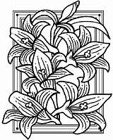 Lirios Pintar Pages Lilies Bible Indusladies sketch template