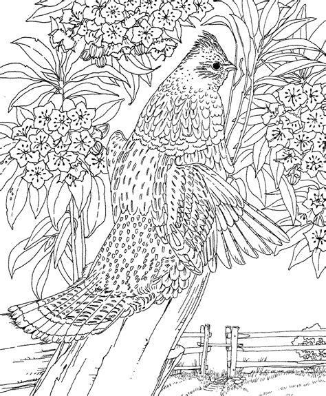 difficult animal coloring pages   difficult animal