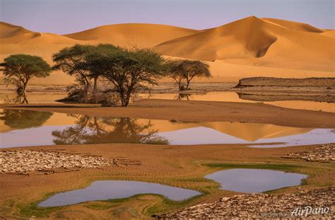 water   sahara desert