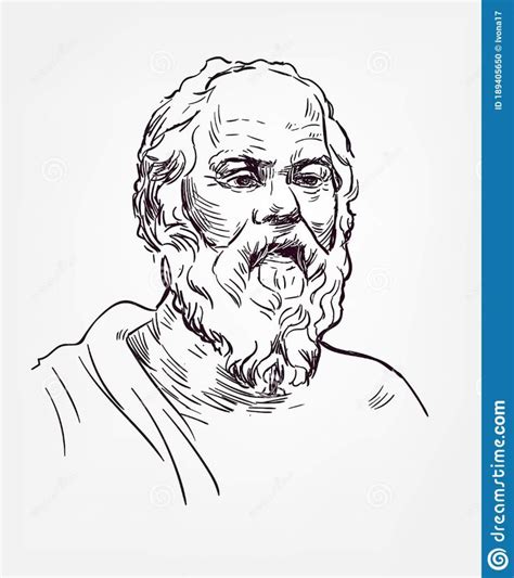 socrates sketch style vector portrait isolated stock illustration illustration  face