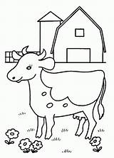 Cow Coloring Pages Kids Baby Printable sketch template