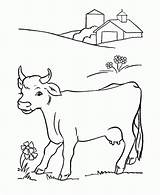 Krowa Kolorowanki Dzieci Wydrukowania sketch template