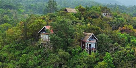 nature lovers paradise  sri lanka home  treehouse chalets fifi resorts pvt