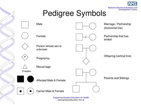 Ppt Practical Genetics For Primary Care Powerpoint