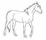 Coloring Horse Palomino Pages Animals Coloringtop sketch template