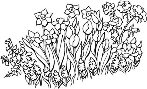 flowers   garden coloring page  printable coloring pages
