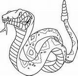 Rattlesnake Coloring Pages Angry Snakes sketch template
