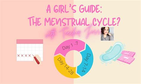 a girl s guide all about the menstrual cycle understanding my