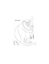 Primate Endangered sketch template