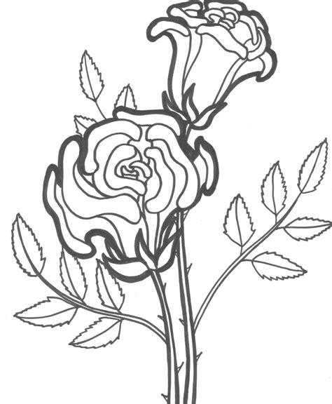 printable roses coloring pages  kids pretty rose coloring