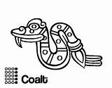 Coatl Snake Coloring Aztecs Days Colorear Aztec Coloringcrew sketch template