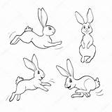 Conejos Fanny Conigli Rabbits Coccinella Isolato Vettore sketch template