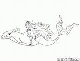 Delphin Meerjungfrau Barbie Malvorlage Ausdrucken Malvorlagen sketch template