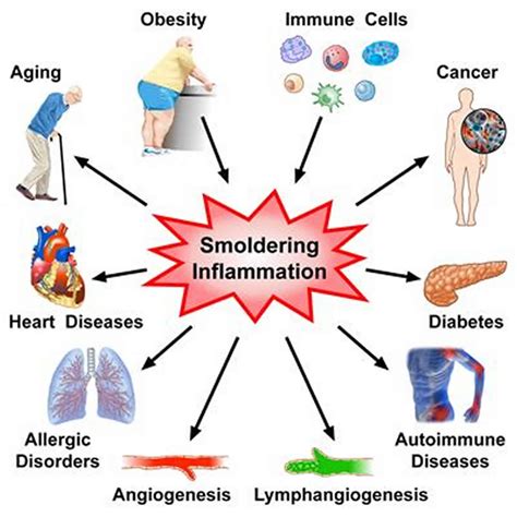 systemic inflammation definition  symptoms treatment