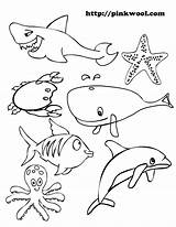 Coloring Ocean Pages Animals Animal Fish Sea Printable Colouring Crafts Shark Kids Crab Star Choose Board Sharks sketch template