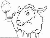 Sheep Coloring Pages Printable Print Kids Color Sheet Popular Bestcoloringpagesforkids sketch template