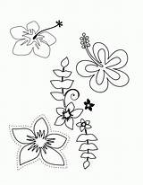 Coloring Pages Flower Hawaiian Tropical Plumeria Luau Flowers Printable Hawaii Print Themed Choose Colouring Comments Popular Color Coloringhome Getdrawings Drawing sketch template