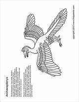 Printable Archaeopteryx Dinosaur Dinosaurs Jurassic Coloring Templates Firstpalette Pages sketch template