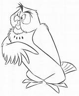 Coloring Pages Owl Owls Printable sketch template