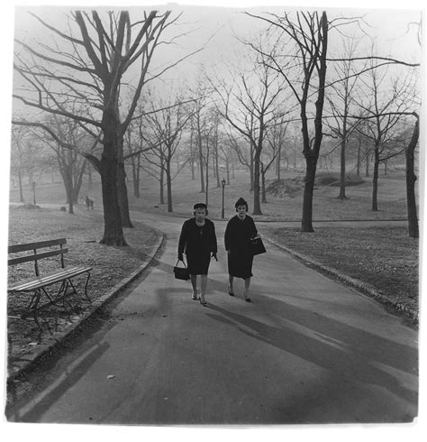 diane arbuss surreal   strange encounters  nyc parks read