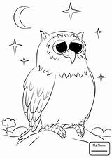 Coloring Pages Owl Cute Owls Drawing Burrowing Cartoon Getdrawings Printable Comments sketch template