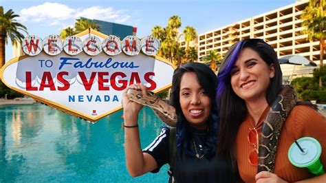 What Happens In Vegas Stays In Vegas 😳 Lesbian Couple Vlog Youtube
