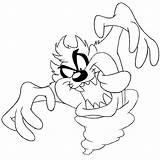 Looney Tunes Taz Tazmanian Coloringhome sketch template