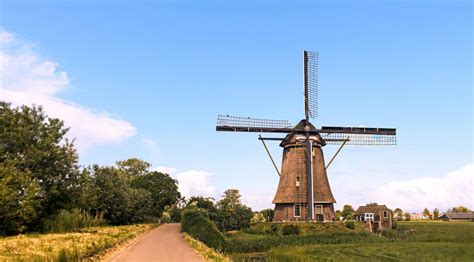 netherlandss tulips windmills