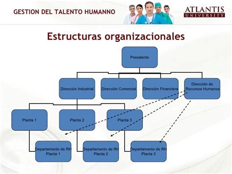 Tipos De Estructuras De La Organización Gestión De Talento Humano