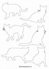 Sagome Gatti Ritagliare Disegni Pianetabambini Colorare Gattini Animali Altri sketch template