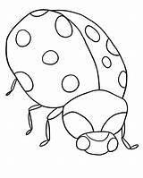 Ladybug Coloring Pages Kids Printable Bug sketch template