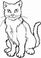 Coloring Para Gatos Cat Cats Pages Imprimir Colorir Desenhos Colorear Ausmalbild Warrior Gato Color Printable Dibujos Imagenes sketch template