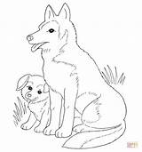 Coloring Puppy Pages Mother Dog Golden Retriever Printable Puppies Wolf Mom Lab Dogs Pups Clipart Color Popular Her Coloringhome sketch template
