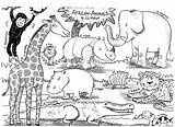 Coloring Animals African Pages Safari Animal Printable Zoo Clipart Big Kids Print Elephant Children Clip Printing Printout Colourings Google Ca sketch template
