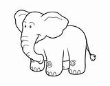Elefante Colorir Africano Colorare Elefantes Animais Selva sketch template