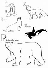 Arctic Coloring Pages Animals Printable Polar Animal Printables Colouring Bear Bears Winter Miniaturemasterminds Toddler Choose Board sketch template