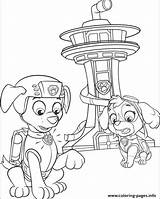 Patrol Tower Coloring Paw Skye Zuma Pages Behind Printable sketch template