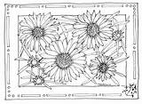 Coloring Sunflower Contrasting Grandmothers Aunties Nicely Mounted Teachers sketch template