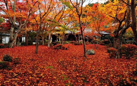 20 autumn japan wallpaper 4k basty wallpaper