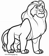 Coloring Lion Sheet Popular Pages sketch template